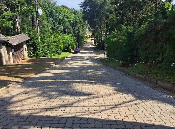 Canto Da Floresta