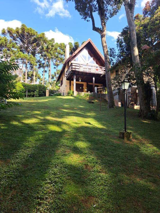Canto Da Floresta * Monte Verde (Minas Gerais)