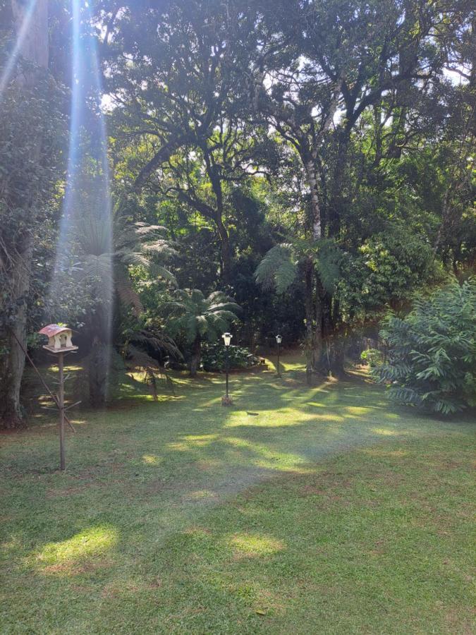 Canto Da Floresta * Monte Verde (Minas Gerais)