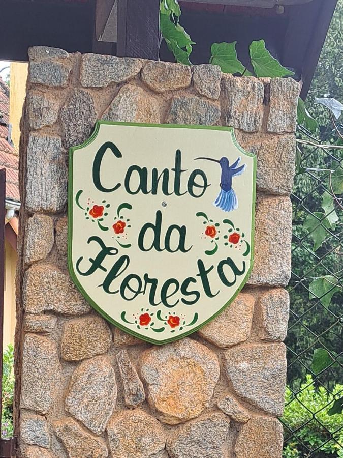Canto Da Floresta *